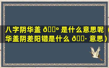 八字阴华盖 🌺 是什么意思呢（华盖阴差阳错是什么 🕷 意思）